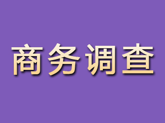 滑县商务调查